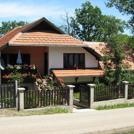 Apartments Zlatiborski Gajevi Buitenkant foto